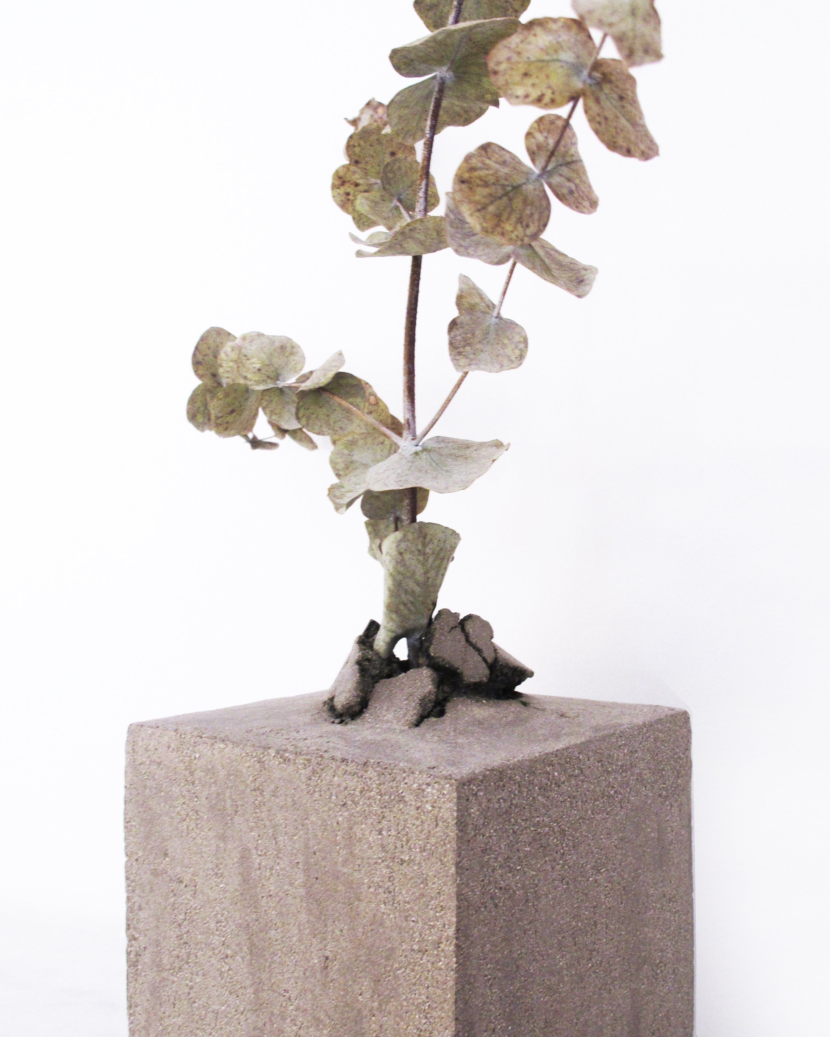 Kibo Vase Small - Gray Cement