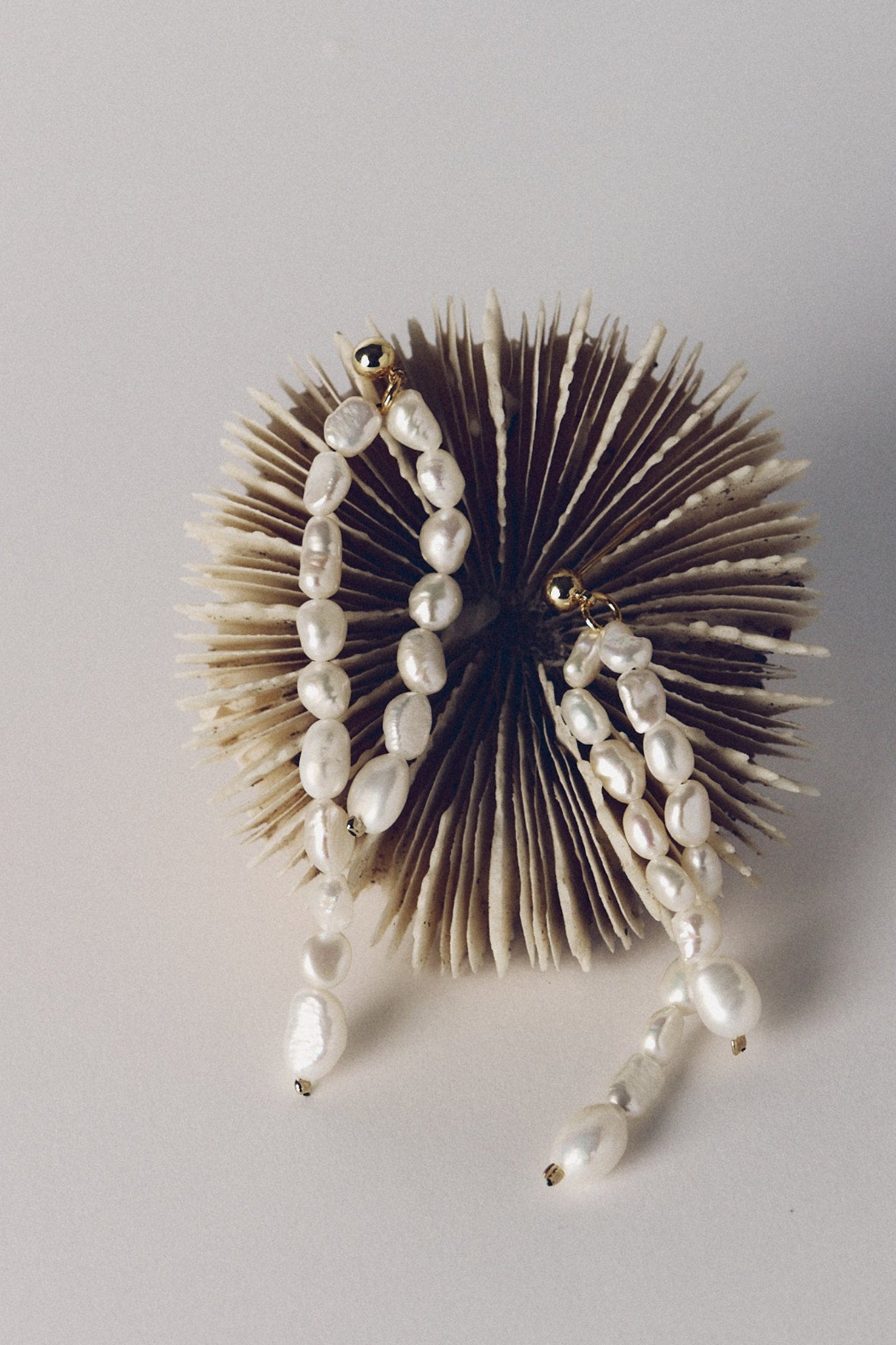 Champagne Earrings