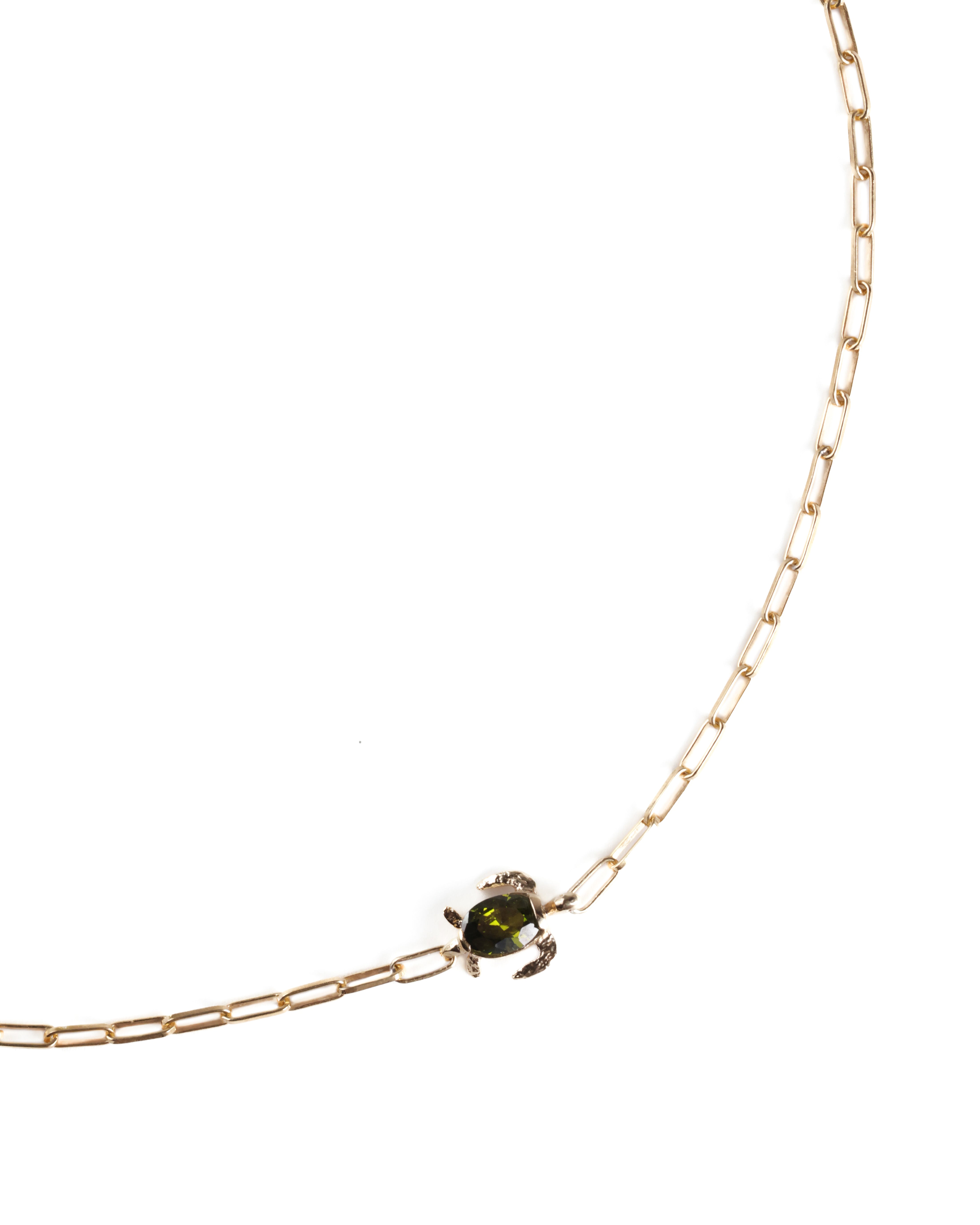 Mighty Turtle Necklace